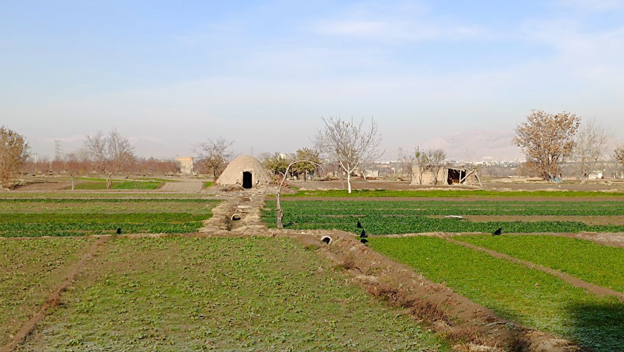 باغ در پاییز حکم آباد